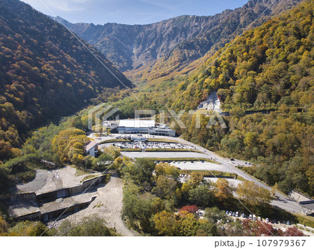 扇沢駅と壮大な扇沢の紅葉　長野県大町市（ドローンによる空撮） 107979367