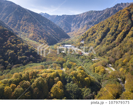 壮大な扇沢の紅葉　長野県大町市（ドローンによる空撮） 107979375