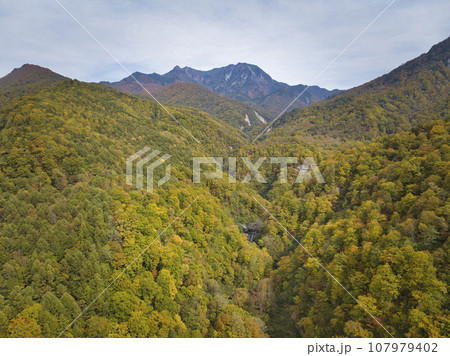 高妻山・乙妻山と奥裾花渓谷の美しい紅葉 長野県長野市(ドローンによる空撮) 高妻山・乙妻山と奥裾花渓谷の美しい紅葉 長野県長野市(ドローンによる空撮) 107979402