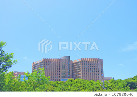 愛知県岡崎市、岡崎市民病院の風景 愛知県岡崎市、岡崎市民病院の風景 107980046