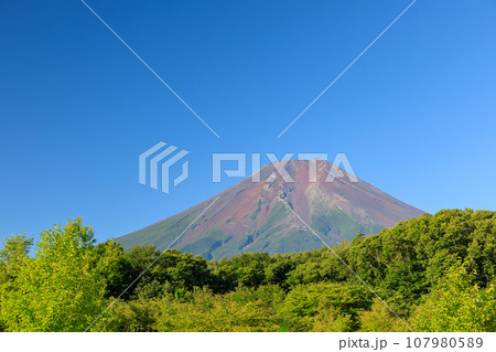 山梨_新緑の富士山山麓の風景 山梨_新緑の富士山山麓の風景 107980589