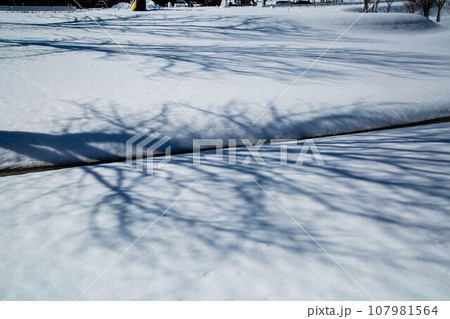 蒜山高原の雪景色 107981564