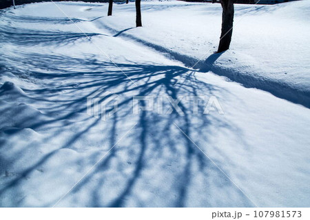 蒜山高原の雪景色 蒜山高原の雪景色 107981573
