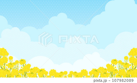 満開の菜の花と青空の風景(横向き16:9) 満開の菜の花と青空の風景(横向き16:9) 107982089