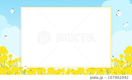 菜の花畑にモンシロチョウが飛ぶ風景のフレーム・背景素材（横向き16:9） 107982092