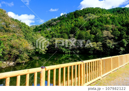 ゆめさきの森公園 ゆめさきの森公園 107982122