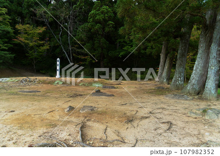 岩手県／毛越寺の講堂跡【世界遺産】平泉町 107982352