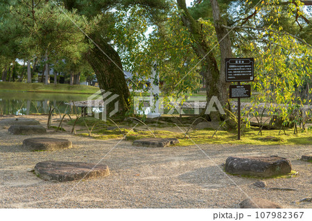 岩手県／毛越寺の鐘楼跡【世界遺産】平泉町 107982367