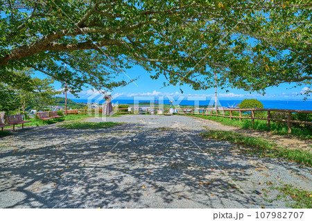 千葉県館山市館山の城山公園の木々越しに西側の展望台方面を見る 107982707