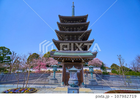 春の神奈川県川崎市麻生区の香林寺の五重塔と桜 107982719