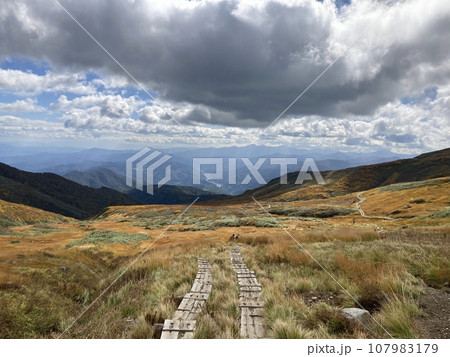 木道と草紅葉 木道と草紅葉 107983179