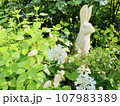 ウサギと花 107983389