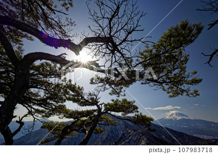 冬の清八山から望む富士山 冬の清八山から望む富士山 107983718
