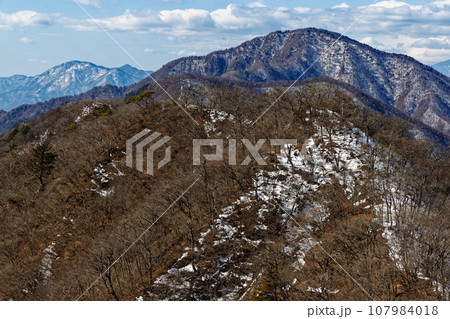 本社ヶ丸から見る冬の御坂黒岳と毛無山 107984018