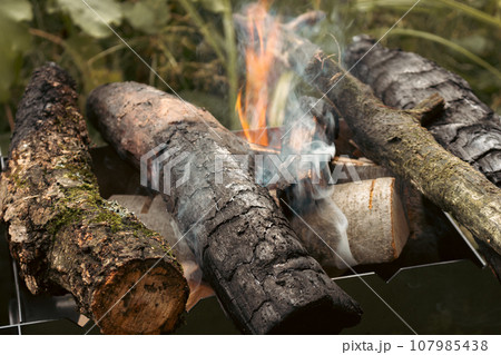 Firewood in the forest. Barbecue grill on the lawn. Burning logs on the grill. Autumn picnic. Fireplace with flame and smoke. Camping with BBQ. Open fire in woods. Campfire on backyard. Firewood in the forest. Barbecue grill on the lawn. Burning logs on the grill. Autumn picnic. Fireplace with flame and smoke. Camping with BBQ. Open fire in woods. Campfire on backyard. 107985438