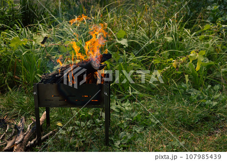 Firewood in the forest. Barbecue grill on the lawn. Burning logs on the grill. Autumn picnic. Fireplace with flame and smoke. Camping with BBQ. Open fire in woods. Campfire on backyard. 107985439