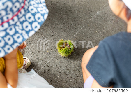 変なのの中身が栗なんだよ 107985569