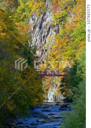 札幌定山渓と二見吊り橋_6507 107985573
