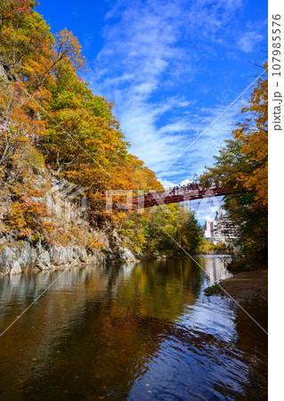 秋の豊平川渓流と二見吊り橋_6749 秋の豊平川渓流と二見吊り橋_6749 107985576