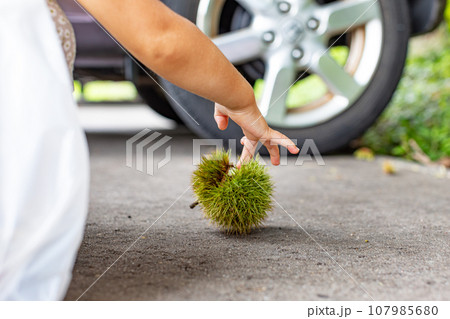 中は痛くないよね？ 107985680