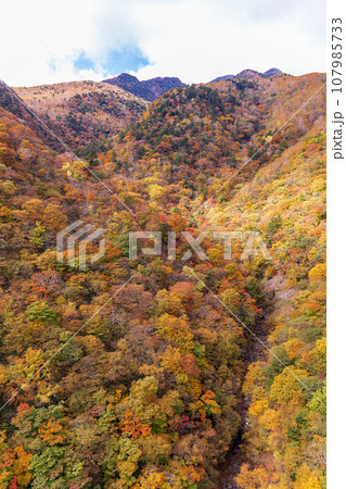 「栃木県」日光・六方沢橋から眺める霧降高原の紅葉 107985733