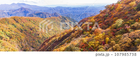 「栃木県」日光・六方沢橋から眺める霧降高原の紅葉 107985738