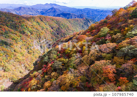 「栃木県」日光・六方沢橋から眺める霧降高原の紅葉 107985740