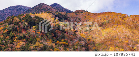 「栃木県」日光・六方沢橋から眺める霧降高原の紅葉 107985743
