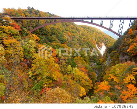 磐梯吾妻スカイライン「つばくろ谷」の紅葉 磐梯吾妻スカイライン「つばくろ谷」の紅葉 107986245