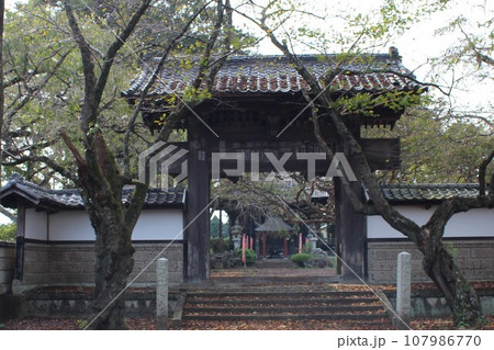 崇真寺 107986770