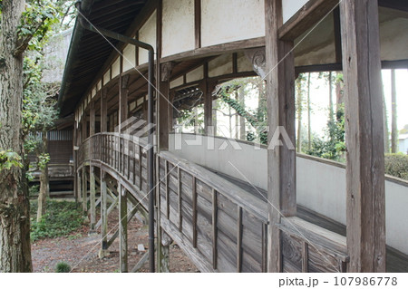 崇真寺 崇真寺 107986778