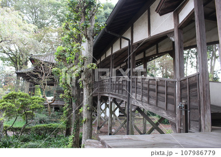 崇真寺 107986779
