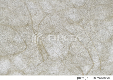 和紙による壁画イメージの背景素材 和紙による壁画イメージの背景素材 107988056