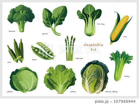 緑の野菜・青果のセット 107988944