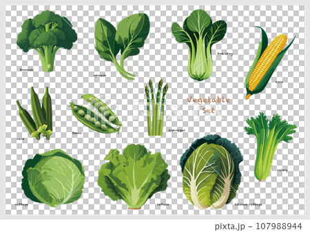 緑の野菜・青果のセット 107988944