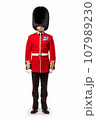 Illustration of a British Royal Guard soldier. United Kingdom 107989230