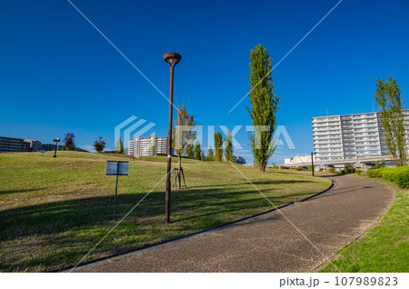 午後の茨木市彩都西公園風景 107989823