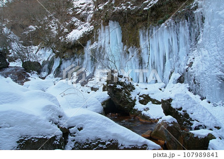 凍てつく冬の蓼科高原横谷峡の屏風岩氷瀑群_Ver3 凍てつく冬の蓼科高原横谷峡の屏風岩氷瀑群_Ver3 107989841