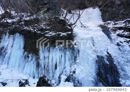 凍てつく冬の蓼科高原横谷峡の屏風岩氷瀑群_Ver4 凍てつく冬の蓼科高原横谷峡の屏風岩氷瀑群_Ver4 107989843