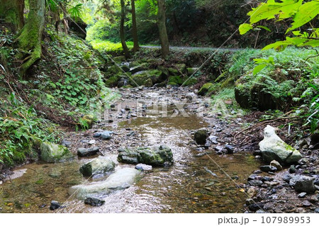 ゆずの里毛呂山町の獅子ヶ滝下流の渓流風景 107989953