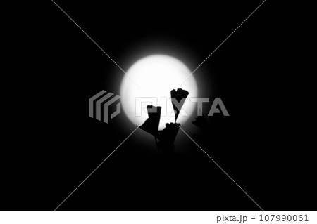 満月に照らされたシルエットのモノクロ 107990061
