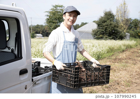 軽トラックにサツマイモをのせる農家の男性 軽トラックにサツマイモをのせる農家の男性 107990245
