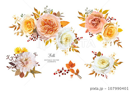 Elegant, floral bouquet. Fall watercolor flowers. Peach, yellow, white roses, cream dahlia, red berry, autumn leaves. Editable, vector illustration. Thanksgiving, wedding invite, greeting elements set Elegant, floral bouquet. Fall watercolor flowers. Peach, yellow, white roses, cream dahlia, red berry, autumn leaves. Editable, vector illustration. Thanksgiving, wedding invite, greeting elements set 107990401