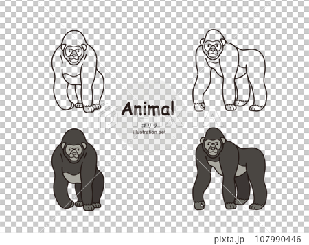 Gorilla illustration set Gorilla illustration set 107990446