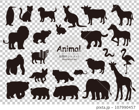 動物のイラストセット_シルエット 動物のイラストセット_シルエット 107990457