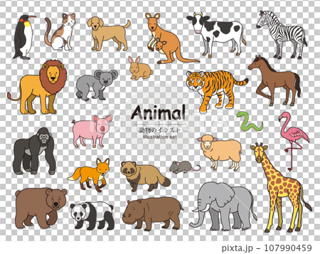 Animal illustration set_color 107990459