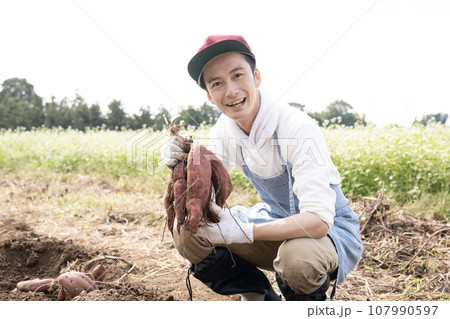 掘ったサツマイモを持って笑う男性 107990597