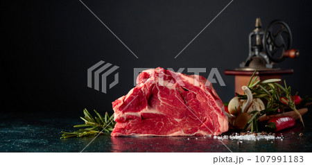 Raw beef meat with rosemary, garlic, salt, and pepper. Raw beef meat with rosemary, garlic, salt, and pepper. 107991183