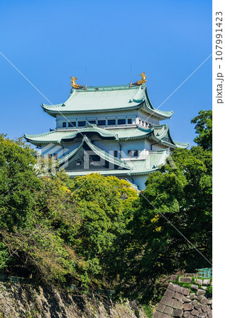 初秋の名古屋城 初秋の名古屋城 107991423