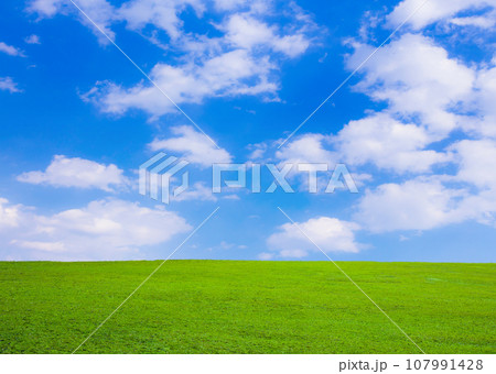 緑の草原と青空 緑の草原と青空 107991428